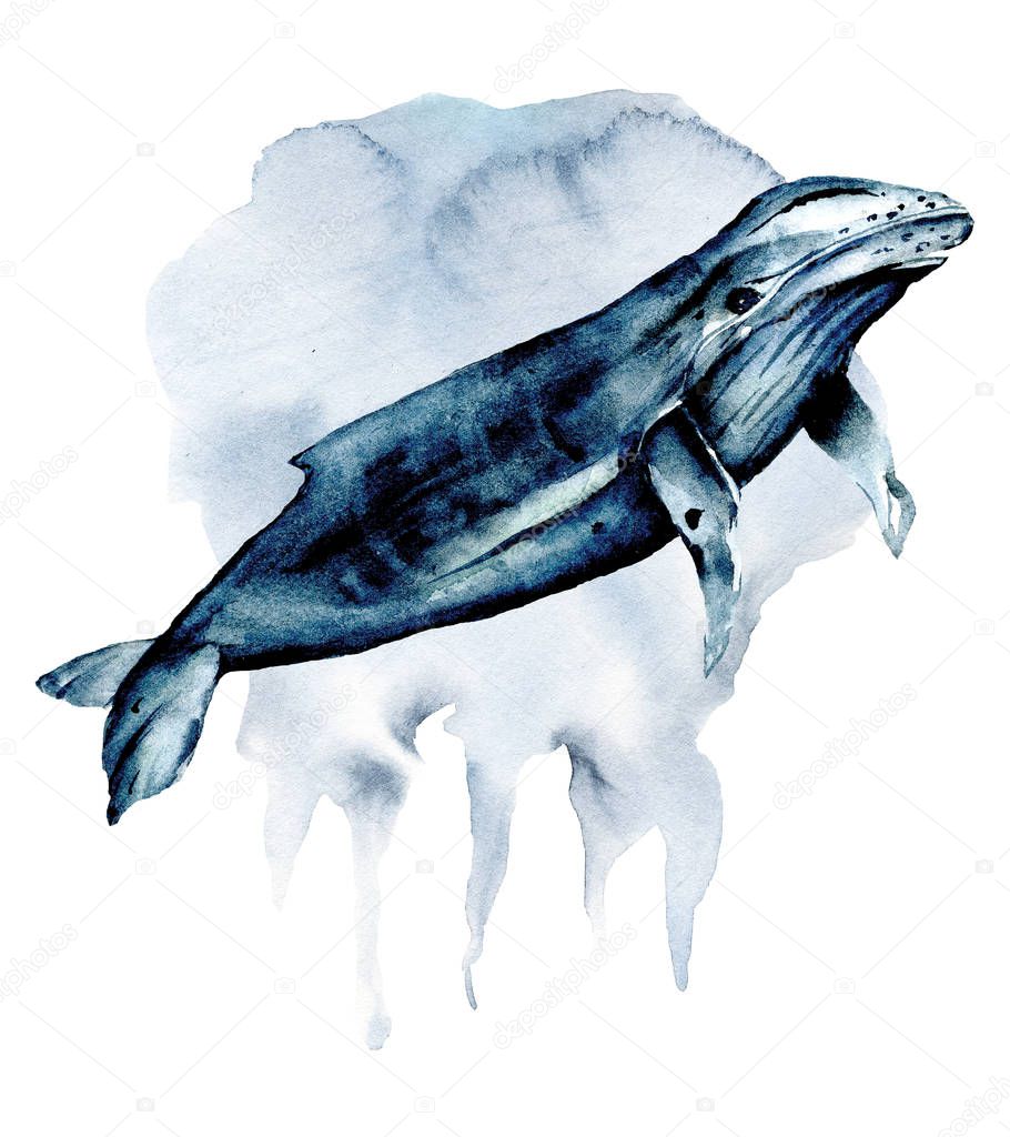 Whale watercolor cartoon marine concept. Underwater life, sea animals perfectly for printing on kids textile, posters, labels, postcards. Isolated on white background. Hand painting