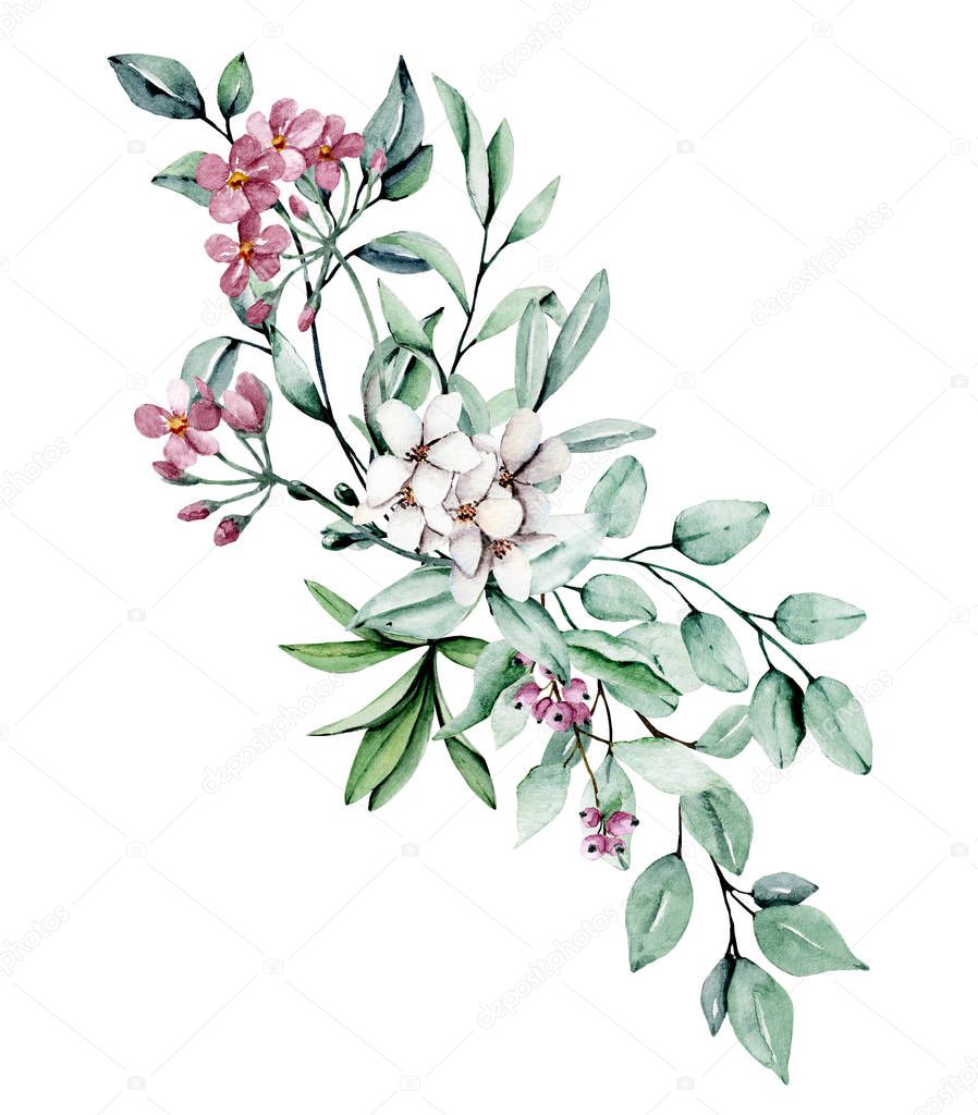 Watercolor green plant. Hand painting floral design on white background 