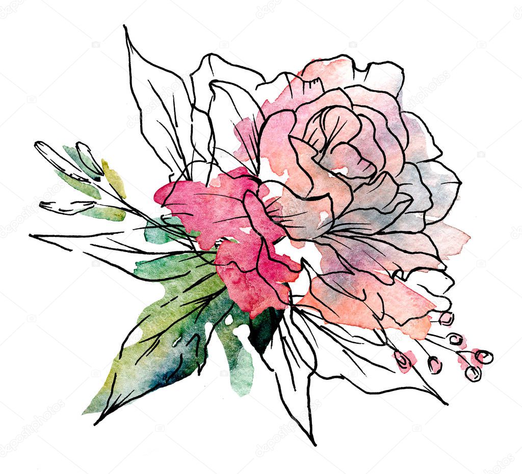 Floral line art, watercolor painting design flower, hand drawn sketch.