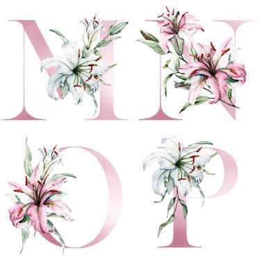 Çiçek alfabesi, M, N, O, P harfleri, yaratıcı suluboya resim.