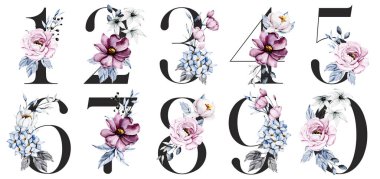 numbers set with watercolor art painting elements on white background
