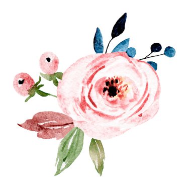  Beyaz arka planda el resmi, suluboya çiçek sanatı konsepti