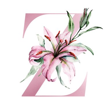 Çiçek alfabesi, çiçeklerle ve yapraklarla süslenmiş Z harfi, suluboya resim.