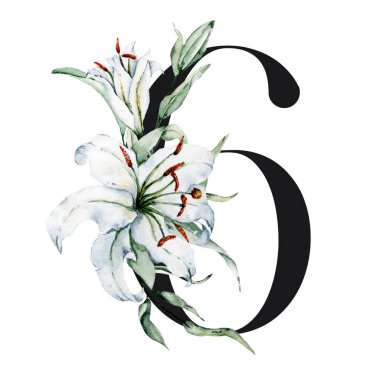 Çiçekli ve yapraklı 6 numaralı yaratıcı resim, elle çizilmiş suluboya resim