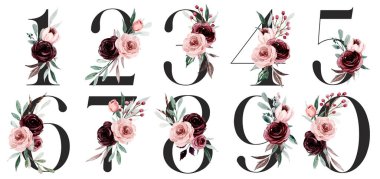 numbers set with watercolor art painting elements on white background