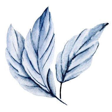 mavi suluboya yapraklar beyaz üzerinde izole