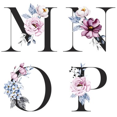 Çiçek alfabesi, M, N, O, P harfleri, yaratıcı suluboya resim.