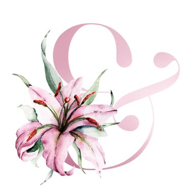 ampersand symbol on white background, watercolor painting with flowers