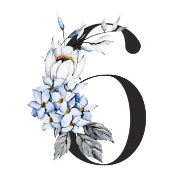 6 numara, elle çizilmiş suluboya resim tasarımı. 