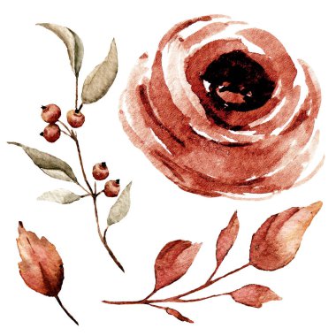 Bir dizi suluboya çiçek çizimi, klasik dekorasyon.