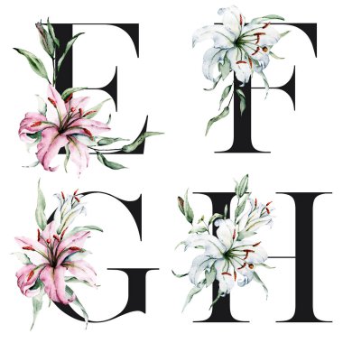 Çiçek alfabesi, E, F, G, H harfleri, yaratıcı suluboya resim.