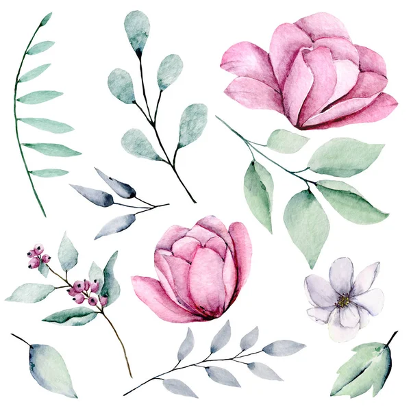 Set Von Aquarell Florale Zeichnung Vintage Dekoration — Stockfoto