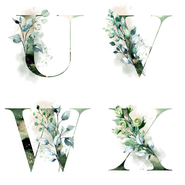 цветочный алфавит, буквы U, V, W, X с акварельными цветами, креативный дизайн, инициалы монограммы
