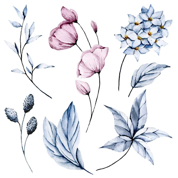 Set Van Aquarel Bloemen Tekening Vintage Decoratie — Stockfoto