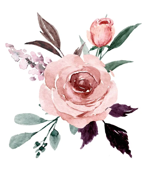 Piękne Akwarelowe Kwiaty Kompozycja Botaniczna Ślub Lub Kartkę Okolicznościową — Zdjęcie stockowe