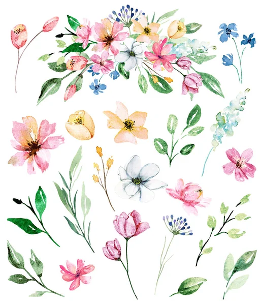 Set Watercolor Floral Drawing Vintage Decoration — Stock Photo, Image