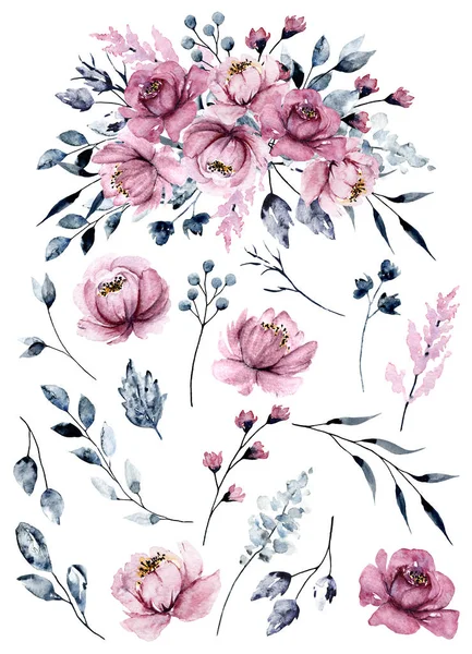 Set Watercolor Floral Drawing Vintage Decoration — 스톡 사진