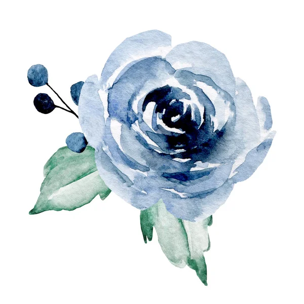 Hand Painting Flower White Background Watercolor Floral Art Concept — 스톡 사진