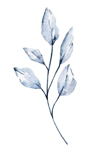 Plante Aquarelle Verte Peinture Main Motif Floral Sur Fond Blanc — Photo