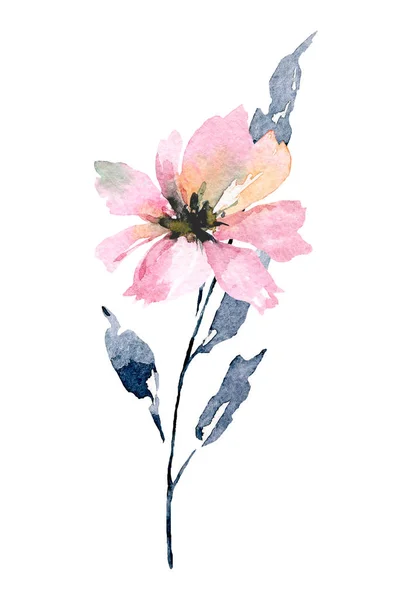 Hand Painting Flower White Background Watercolor Floral Art Concept — 스톡 사진