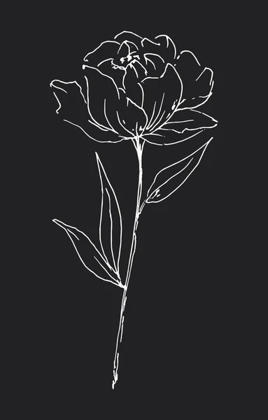 Kwiat Linii Sztuki Akwarela Malarstwo Projekt Kwiat Ręcznie Rysowane Szkic — Zdjęcie stockowe