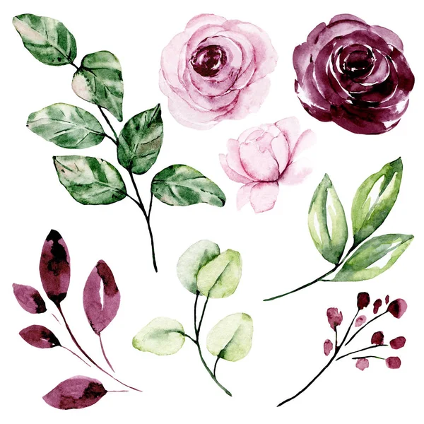 Set Watercolor Floral Drawing Vintage Decoration — 스톡 사진