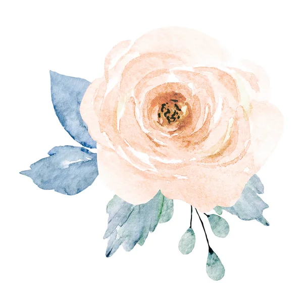 Hand Painting Flower White Background Watercolor Floral Art Concept — 스톡 사진