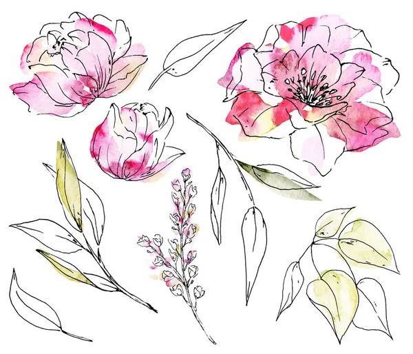 Çiçek koleksiyonu çizimleri, suluboya elementlerle çizimler.
