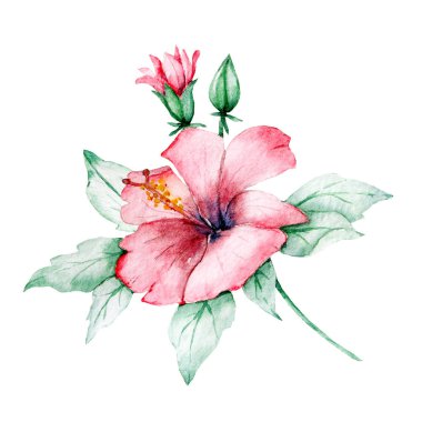 Çiçek açan suluboya çiçekleri beyaz arkaplanda izole edilmiş, dekorasyon konsepti 