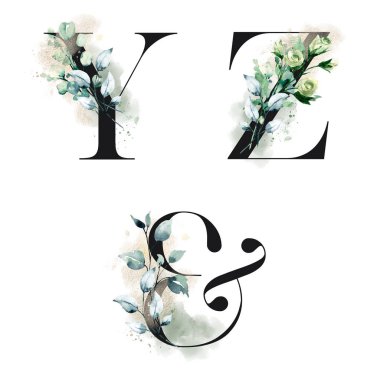floral alphabet, letters Y, Z and ampersand symbol with watercolor flowers, creative art design, monogram initials