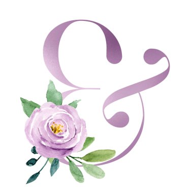 ampersand symbol on white background, watercolor painting with flowers