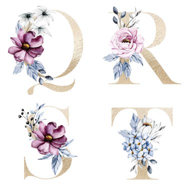Çiçek alfabesi, Q, R, S, T harfleri, yaratıcı suluboya resim.
