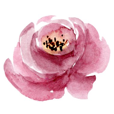  Beyaz arka planda el resmi, suluboya çiçek sanatı konsepti