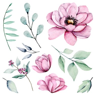 Bir dizi suluboya çiçek çizimi, klasik dekorasyon.