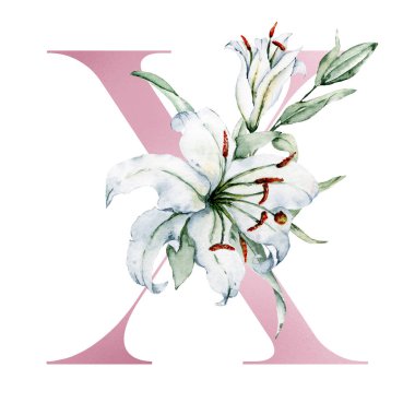 Çiçek alfabesi, çiçeklerle ve yapraklarla süslenmiş güzel bir harf, suluboya resim.