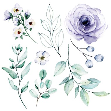 Bir dizi suluboya çiçek çizimi, klasik dekorasyon.