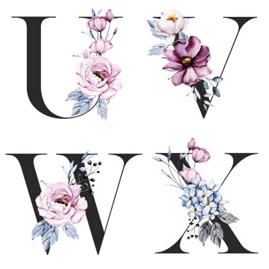 Çiçek alfabesi, U, V, W, X harfleri, yaratıcı suluboya resim.