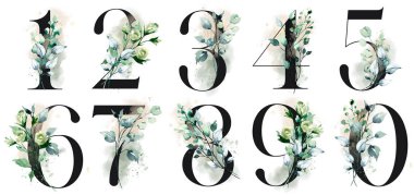numbers set with watercolor art painting elements on white background