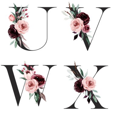 Çiçek alfabesi, U, V, W, X harfleri, yaratıcı suluboya resim.