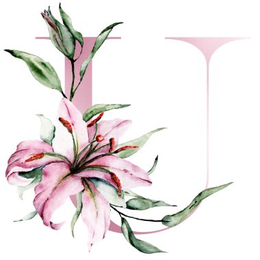 Çiçek alfabesi, güzel bir harf. Çiçek ve yapraklarla süslenmiş, suluboya resim.