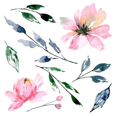 Bir dizi suluboya çiçek çizimi, klasik dekorasyon.