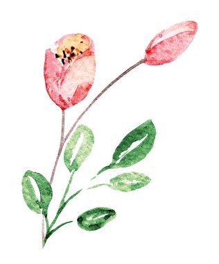  Beyaz arka planda el resmi, suluboya çiçek sanatı konsepti