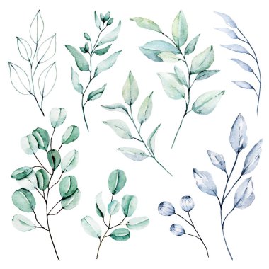 Bir dizi suluboya çiçek çizimi, klasik dekorasyon.