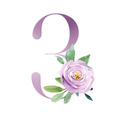 number 3 decorated with flowers and leaves on white background