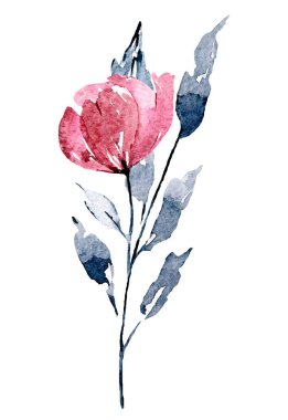 Çiçek açan suluboya çiçekleri beyaz arkaplanda izole edilmiş, dekorasyon konsepti 