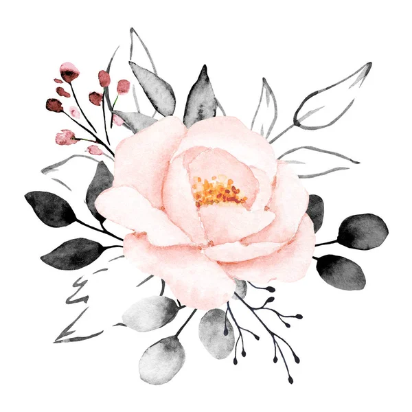 Hand Painting Flower White Background Watercolor Floral Art Concept — 스톡 사진