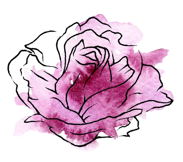 Floral Line Art Watercolor Painting Design Flower Hand Drawn Sketch — 스톡 사진