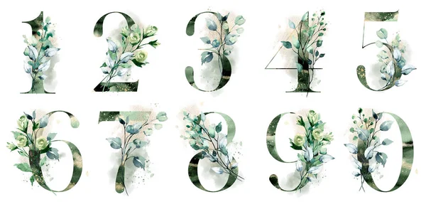 Numbers Set Watercolor Art Painting Elements White Background — 스톡 사진