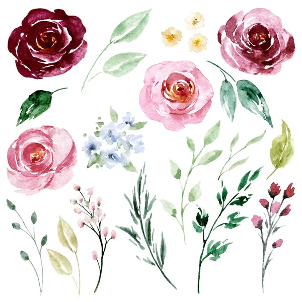 Decorative Floral Set Watercolor Art Painting Design — 스톡 사진