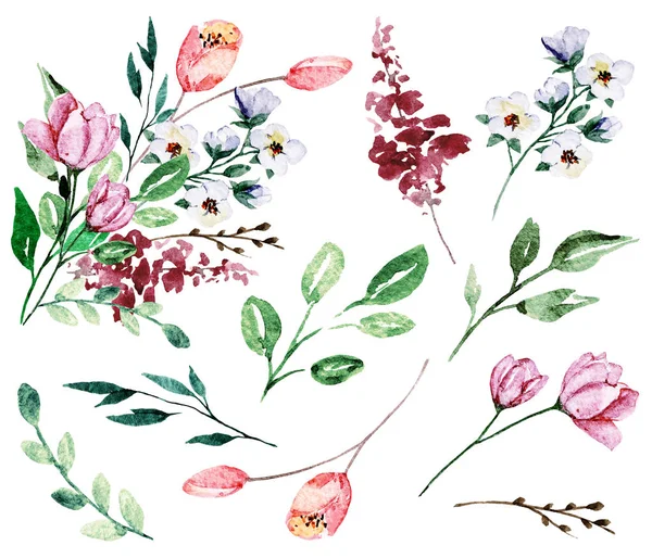 Dekoratif çiçek seti, suluboya resim tasarımı